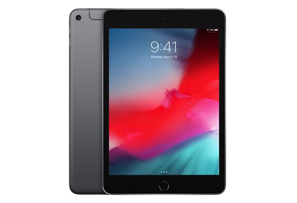 iPad mini (5.gen.) 256 GB WiFi+Cellular, Space Gray