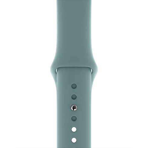 Apple Watch 40mm Cactus Sport Band - Regular