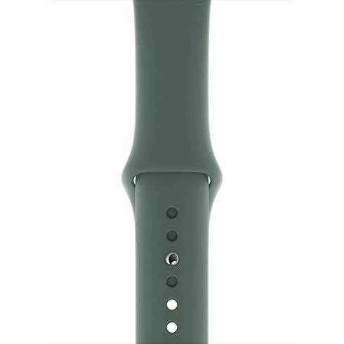 Apple Watch 44mm Pine Green Sport Band - Regular