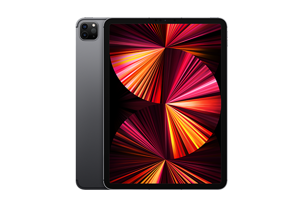 
                                                                                    iPad Pro 12.9-inch 512 GB WiFi + Cellular Space Gray (2021)                                        