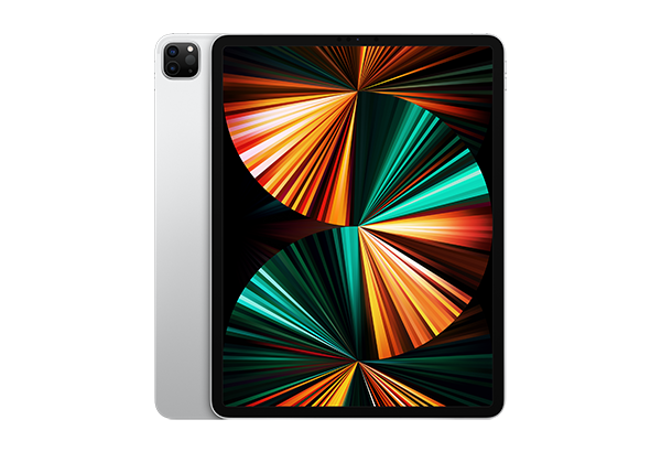 iPad Pro 11-inch 1TB WiFi + Cellular Silver (2021) - EDU