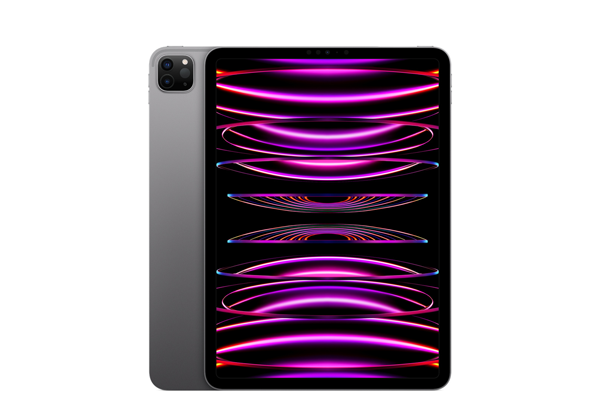 iPad Pro 11-inch 512 GB WiFi + Cellular Space Gray (2022)