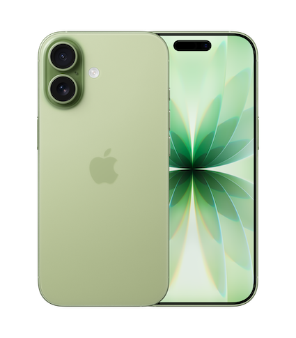 
                                                                                    iPhone 17 256GB Sage                                        