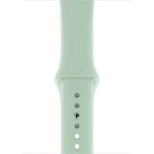 Apple Watch 44mm Beryl Sport Band - S/M & M/L