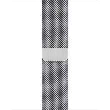 Apple Watch 41mm Silver Milanese Loop