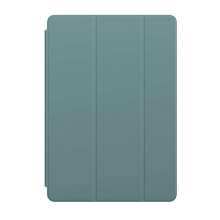 Apple Smart Cover for iPad 10,2" and iPad Air (3rd) - Cactus