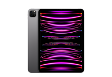iPad Pro 11-inch 256 GB WiFi Space Gray (2022)