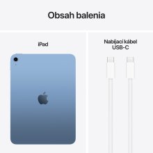 iPad 11" 128 GB WiFi + Cellular (2025) Blue