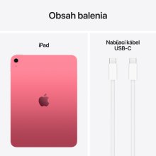 iPad 11" 256 GB WiFi + Cellular (2025) Pink