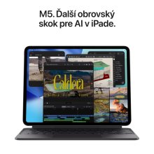 iPad Pro 11" M5 Wi-Fi 2TB štandardné sklo - Space Black