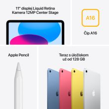 iPad 11" 128 GB WiFi + Cellular (2025) Pink