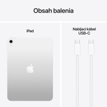 iPad 11" 256 GB WiFi + Cellular (2025) Silver