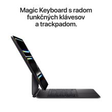 iPad Pro 11" M5 Wi-Fi 1TB sklo s nanotextúrou - Silver