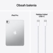 iPad Pro 11" M5 Wi-Fi 1TB sklo s nanotextúrou - Silver