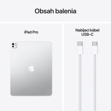 iPad Pro 13" M5 Wi-Fi+Cellular 2TB štandardné sklo - Silver