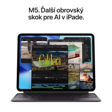 iPad Pro 13" M5 Wi-Fi 2TB sklo s nanotextúrou- Space Black