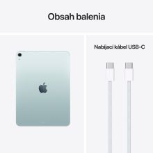 iPad Air 11" M4 Wi-Fi + Cellular 1TB Blue