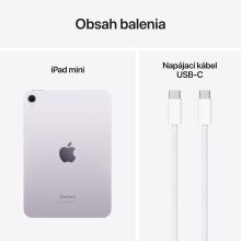  iPad mini (A17Pro) 256 GB Purple WiFi