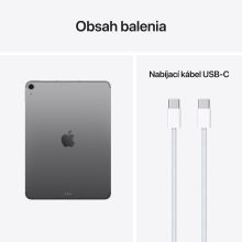 iPad Air 11" M4 Wi-Fi + Cellular 1TB Space Grey - EDU