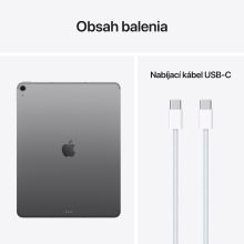 iPad Air 13" M4 Wi-Fi + Cellular 512GB Space Grey - EDU