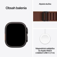 Apple Watch Ultra 4 GPS + Cellular 49mm Black Titanium Case with Burgundy Alpine Loop - L